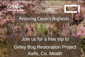 Restoring Cavan's Bogland